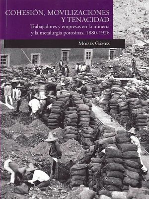cover image of Cohesión, movilizaciones y tenecidad